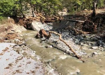Παντελής αδιαφορία της κυβέρνησης ΝΔ για τα ανήλικα θύματα κακοποίησης