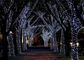 Δήμος Καλαμάτας: Δίνει 10.000 ευρώ για να δημιουργήσει κλίμα αισιοδοξίας