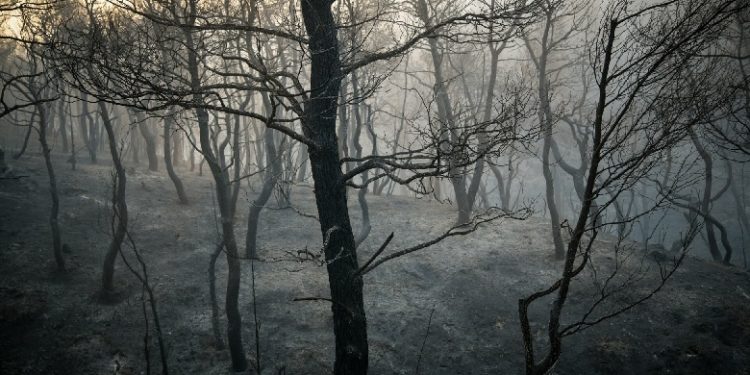 Ευ. Λέκκας: Οι παρεμβάσεις αποκατάστασης στην Εύβοια είναι πεταμένα έργα