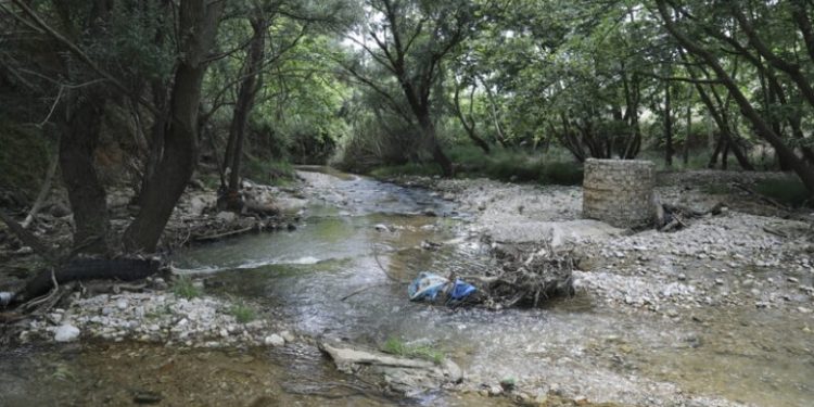 Προς αποψίλωση ένα ακόμη ανοικτό τμήμα του ποταμού Κηφισού