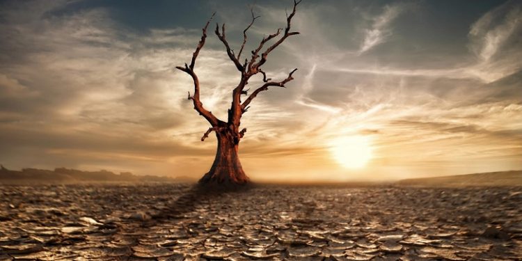 Πως μπορεί να αντιμετωπιστεί η κλιματική κρίση;