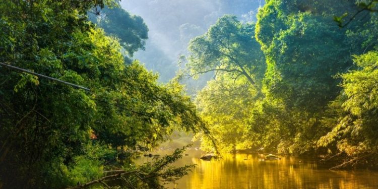 Σήμα κινδύνου για τους οικότοπους της ΕΕ και το αστικό πράσινο – Τι ψήφισε το Ευρωκοινοβούλιο;