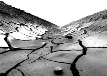 Κοπέρνικος: Μεσόγειος σε συναγερμό – Εκτεταμένη ξηρασία και φέτος στην Ευρώπη